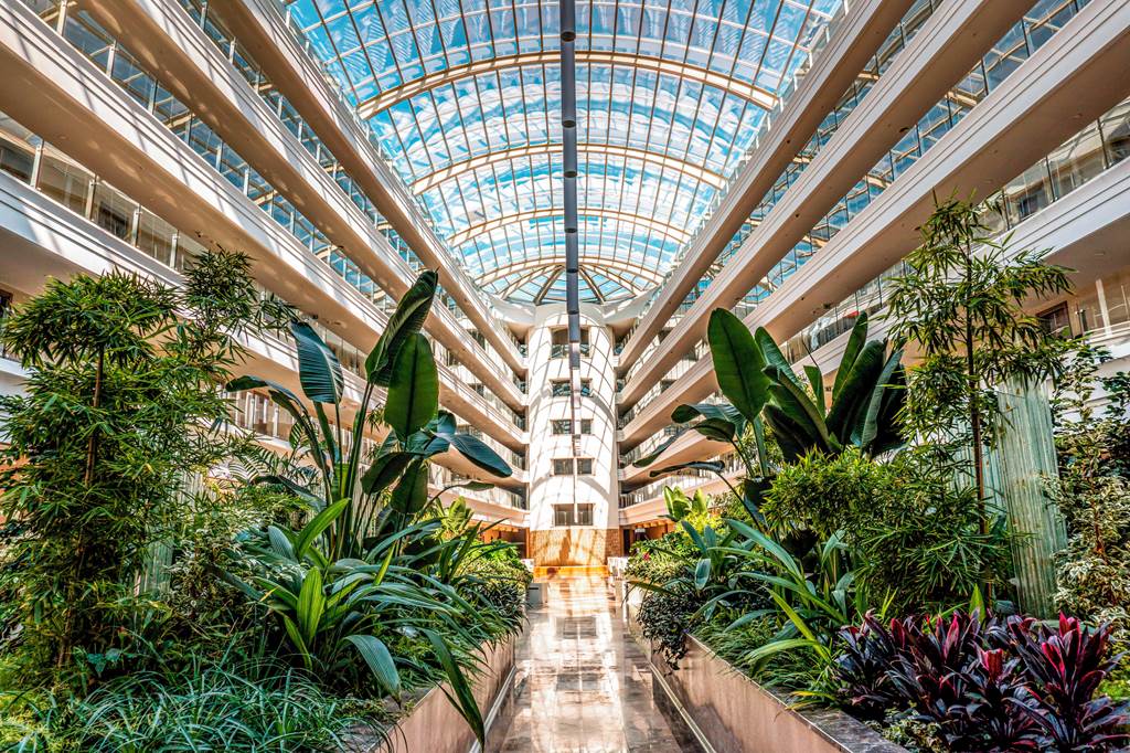 DLM_71841_Green_Nature_Diamond_Hotel_1220_01.jpg