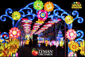 Winter Lantern Festival at Lyman Orchards