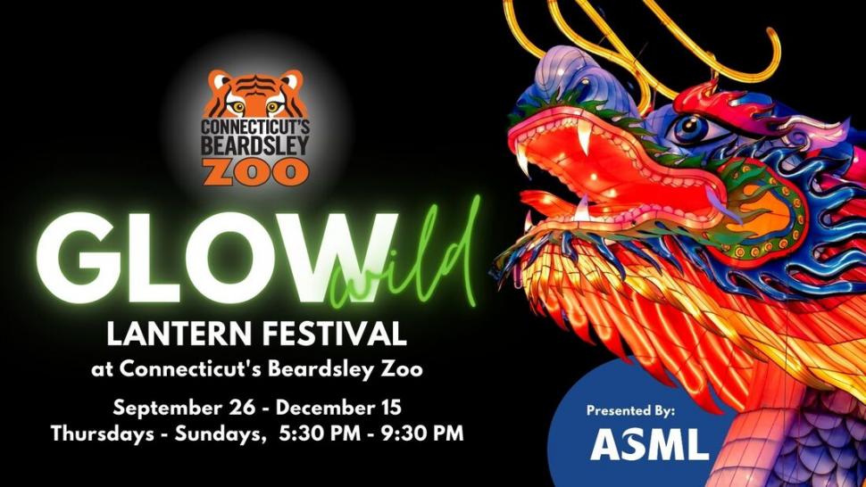 Glow Wild Lantern Festival at Connecticut's Beardsley Zoo