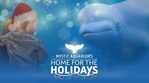 Home for the Holidays Mystic Aquarium