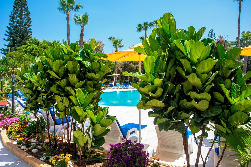 LCA_88504_Papouis_Protaras_Hotel_1124_60.jpg