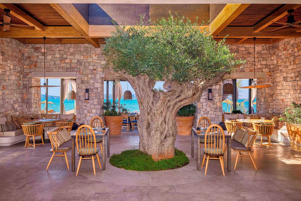 KLX_85207_W_Costa_Navarino_0323_26.jpg