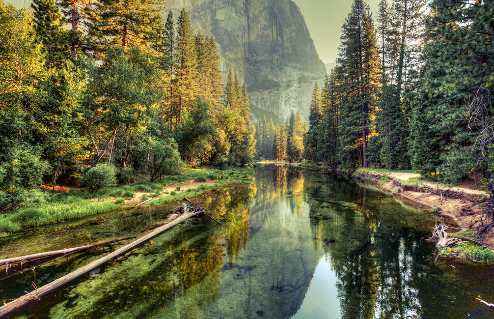 Yosemite-Cedar-Lodge-2.jpg