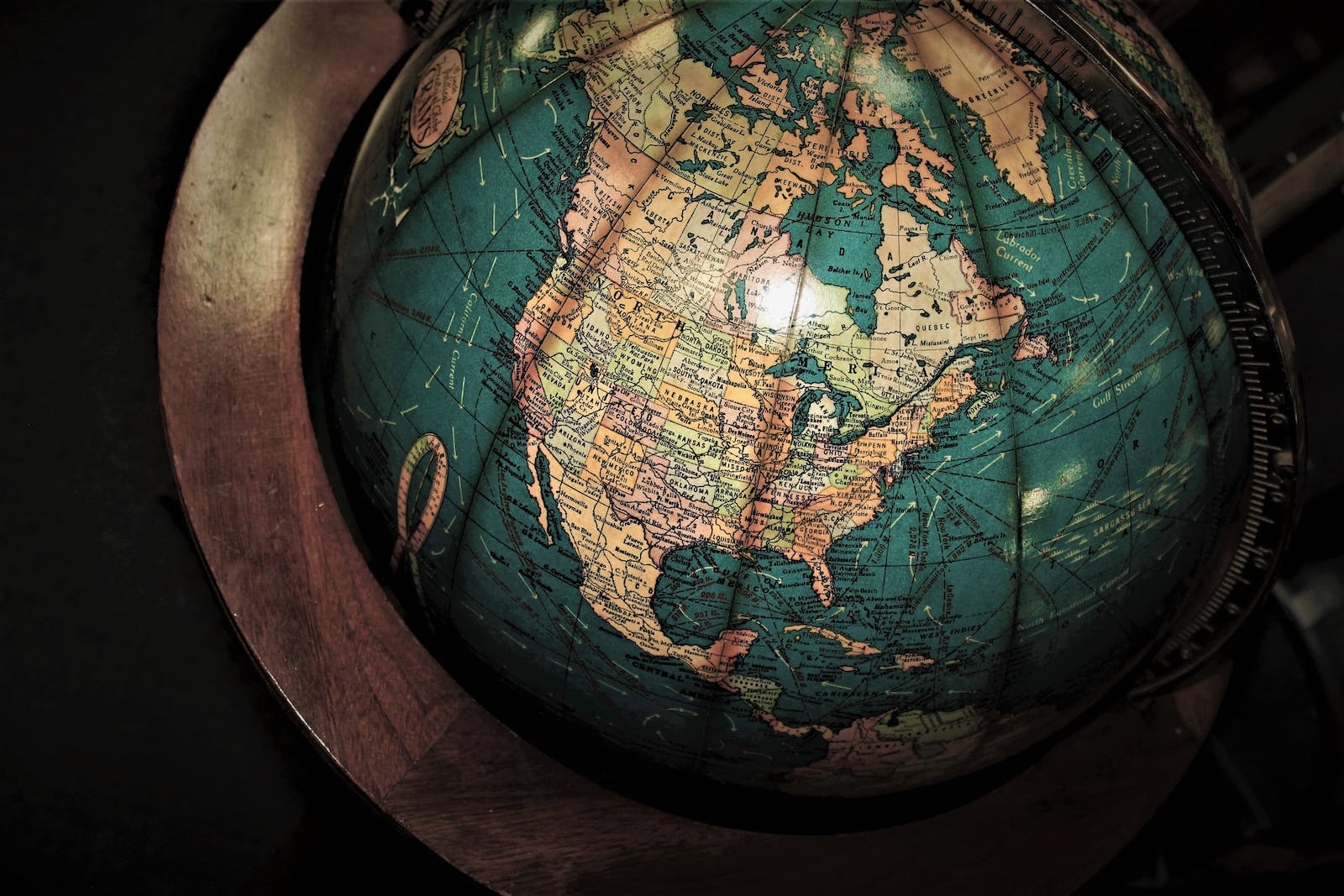 From Local to Global: Expanding Your Business Horizons
