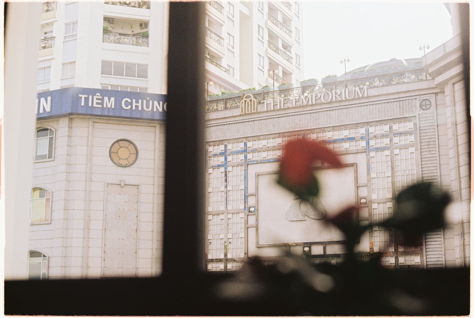 Sustainable Business Growth: How to Build a Business That Lasts