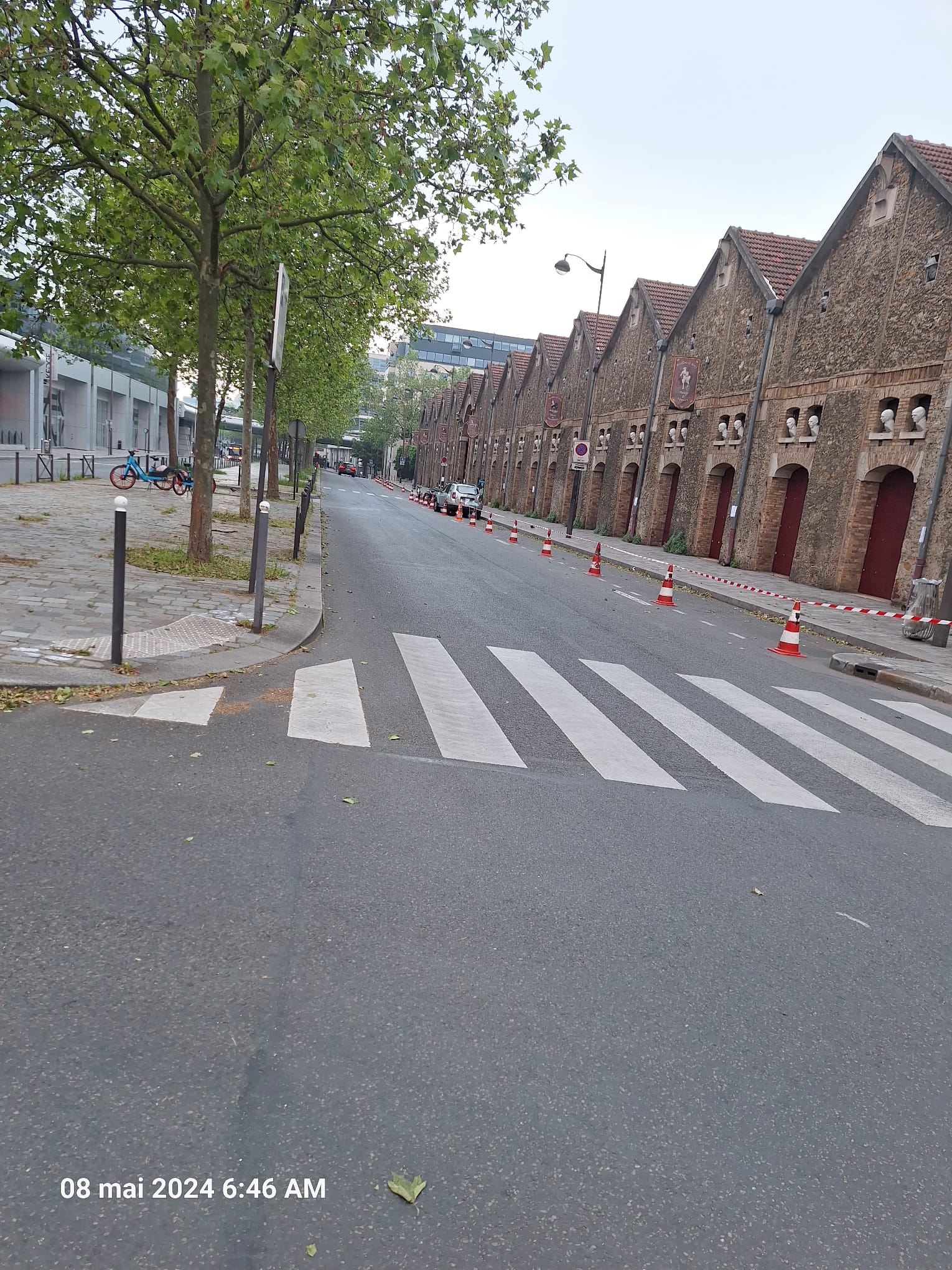 Prestation de Ventousage pour LANZA & BAUCINA-2024-7