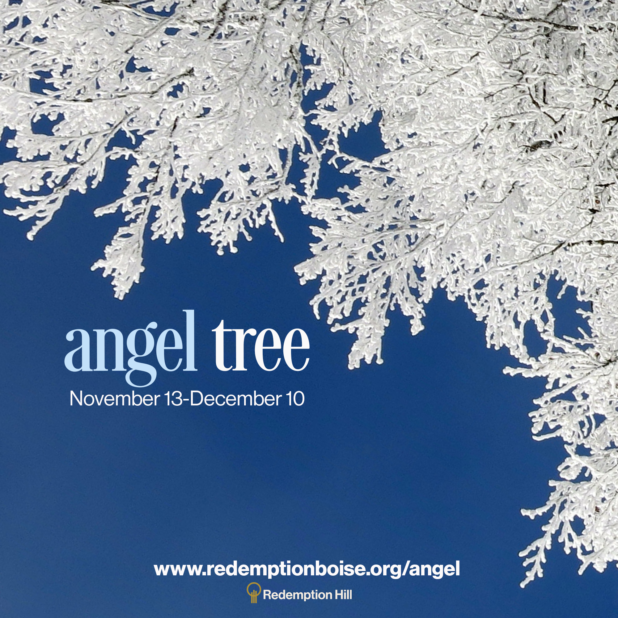 Along with Wonder School, we're participating in Angel Tree this Christmas. We are in charge of purchasing gifts for the children in a handful of local families who have an incarcerated parent. It's a beautiful way to love the vulnerable in our community and participate in the work of the kingdom of God in our city. Sign up to buy a toy or two at www.redemptionboise.org/angel, and drop it off at Wonder School between now and December 10th.