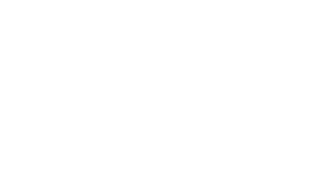 LINCOLN FINANCIAL GROUP