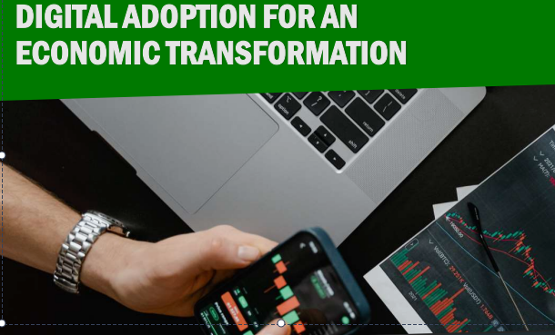 Digital Adaptation for An Economic Transformation