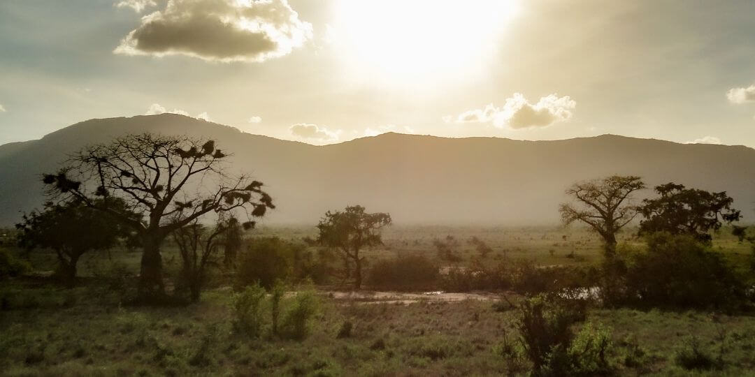 savanna ecosystem with mountains in the background