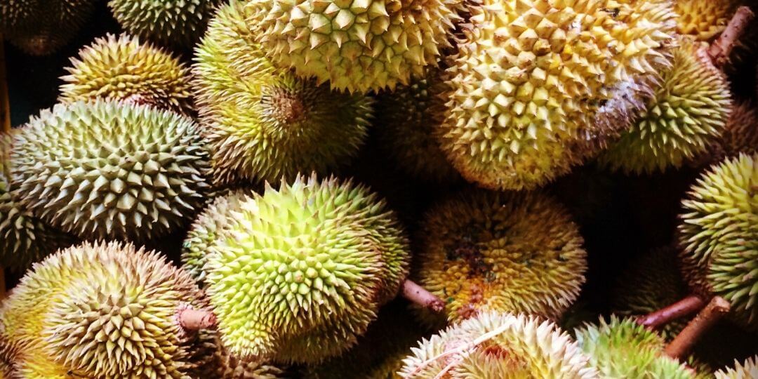 pile of durian fruit