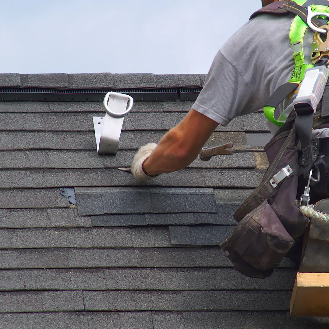 Find Roof Repairer Companies Near You Today | Profesh