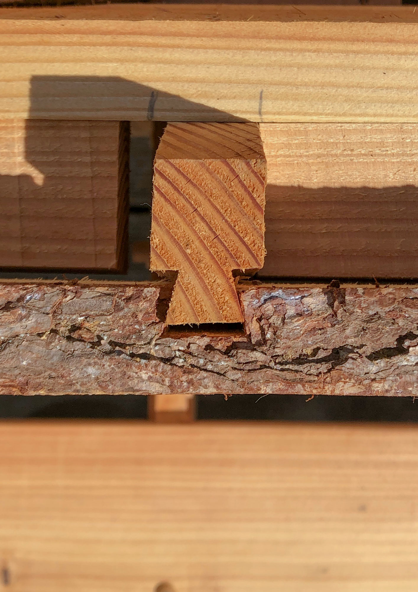 Archival Studies Thoravej Process 34