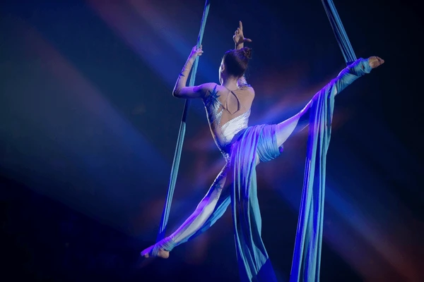 Artist or Performer - Arrow