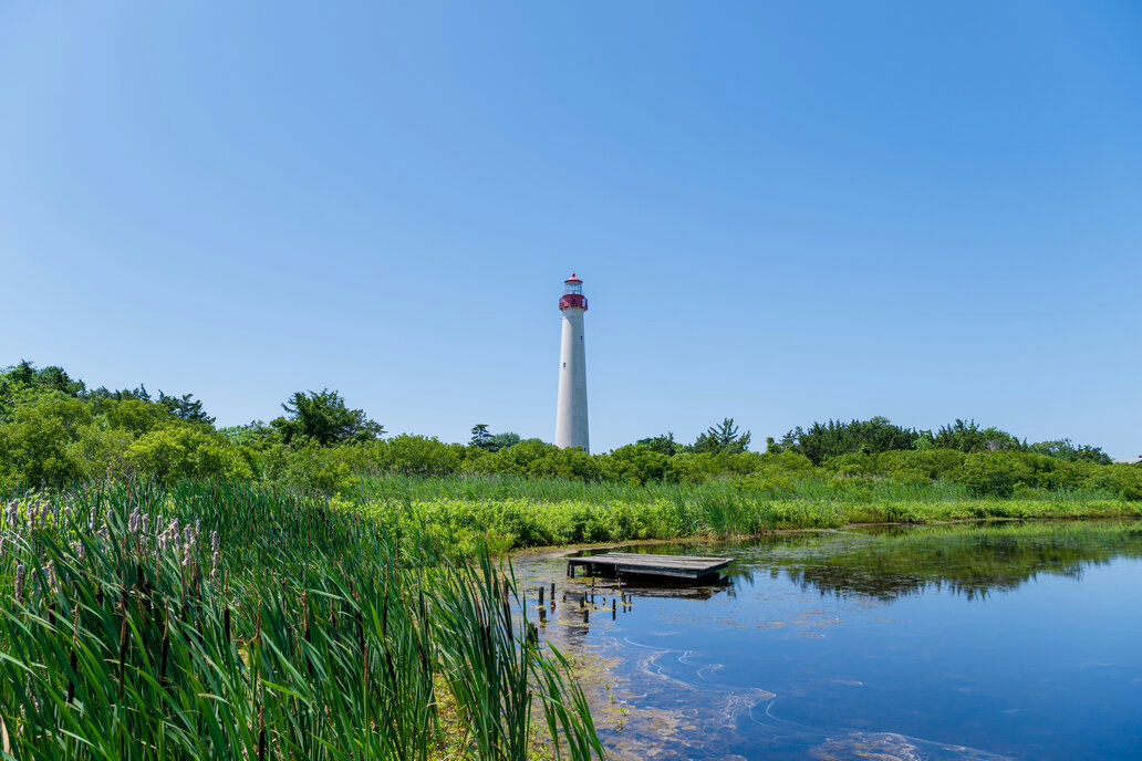 Cape May Point vacation rentals