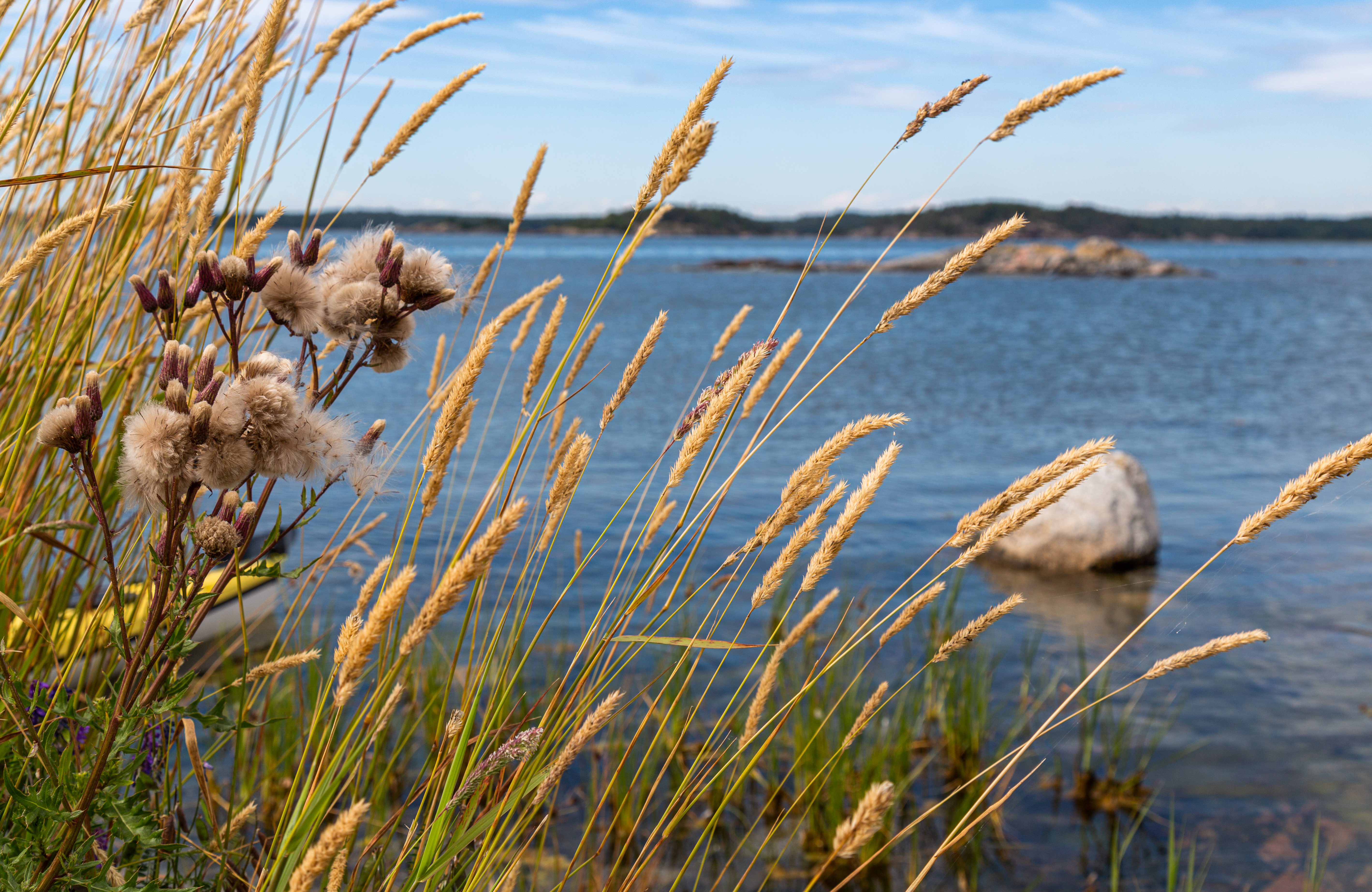 HELCOM - 1st Meeting of the Sea-based activities segment team for drafting the updated Baltic Sea Action Plan