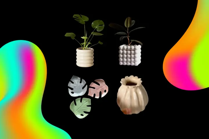 Plant Lovers - Nov 14, 2025, 20:30