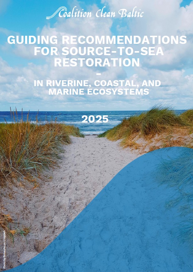 Guiding Recommendations for Source-to-Sea Restoration in Riverine, Coastal, and Marine Ecosystems