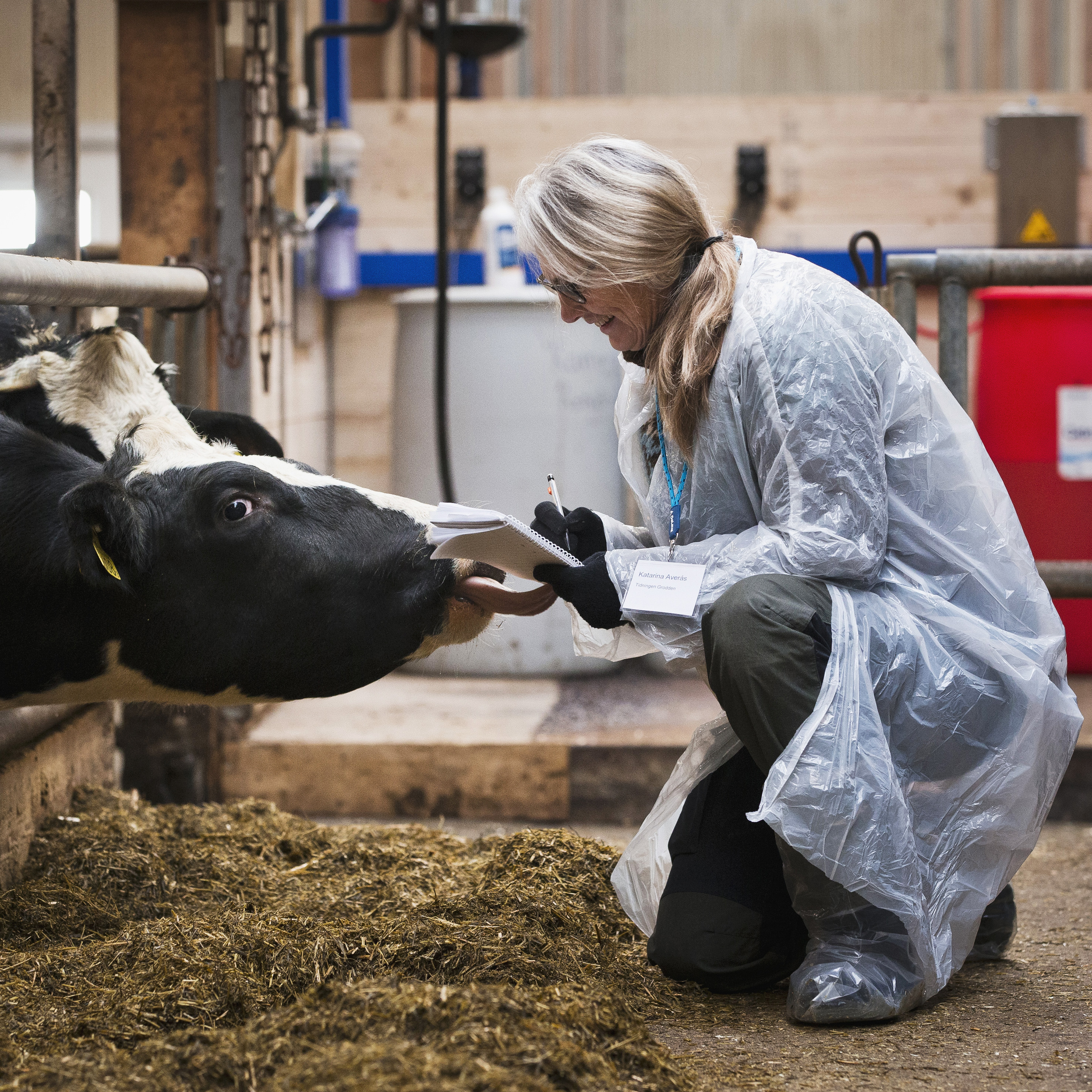 Kreatör Katarina Averås AB