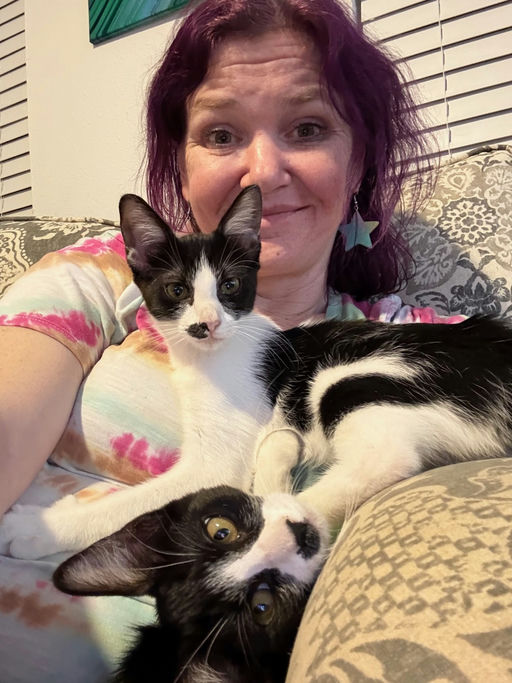 cats - Muffin Image 1