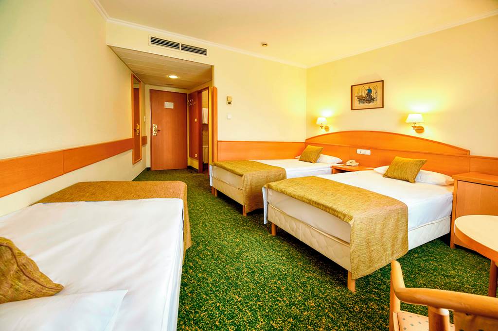 BUD_3969_Hotel_Erzsebet_City_Centre_0219_08.jpg