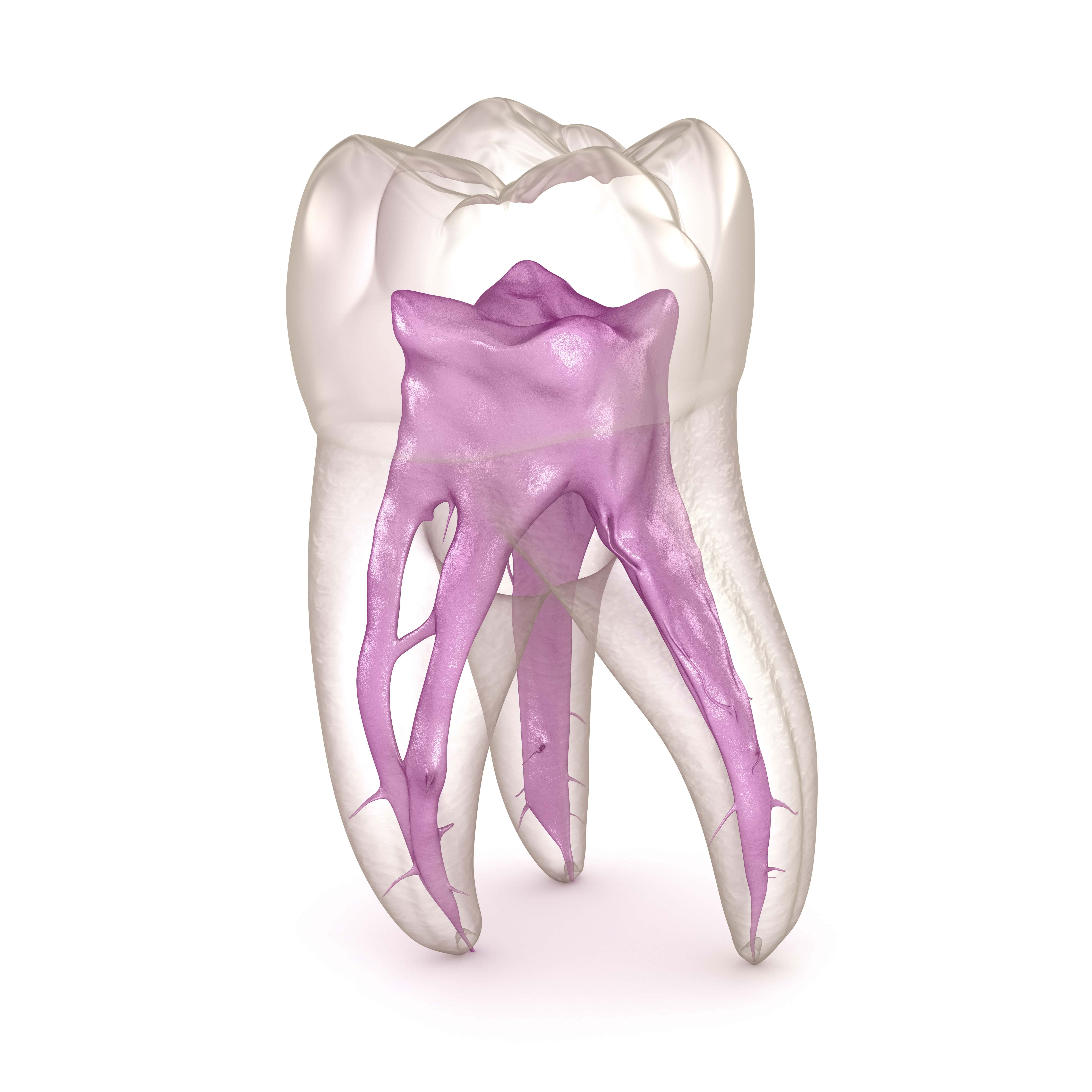 stem cell harvesting