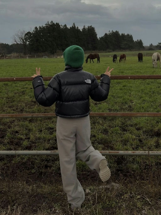 🖤【48折】【TNF Nuptse 史低】