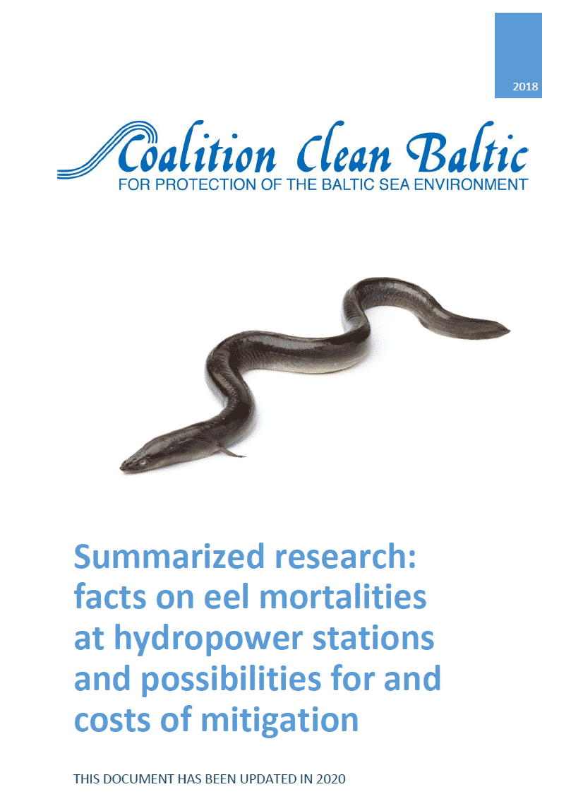 Summarized research: facts on eel mortalities at hydropower stations and possibilities and costs for mitigation