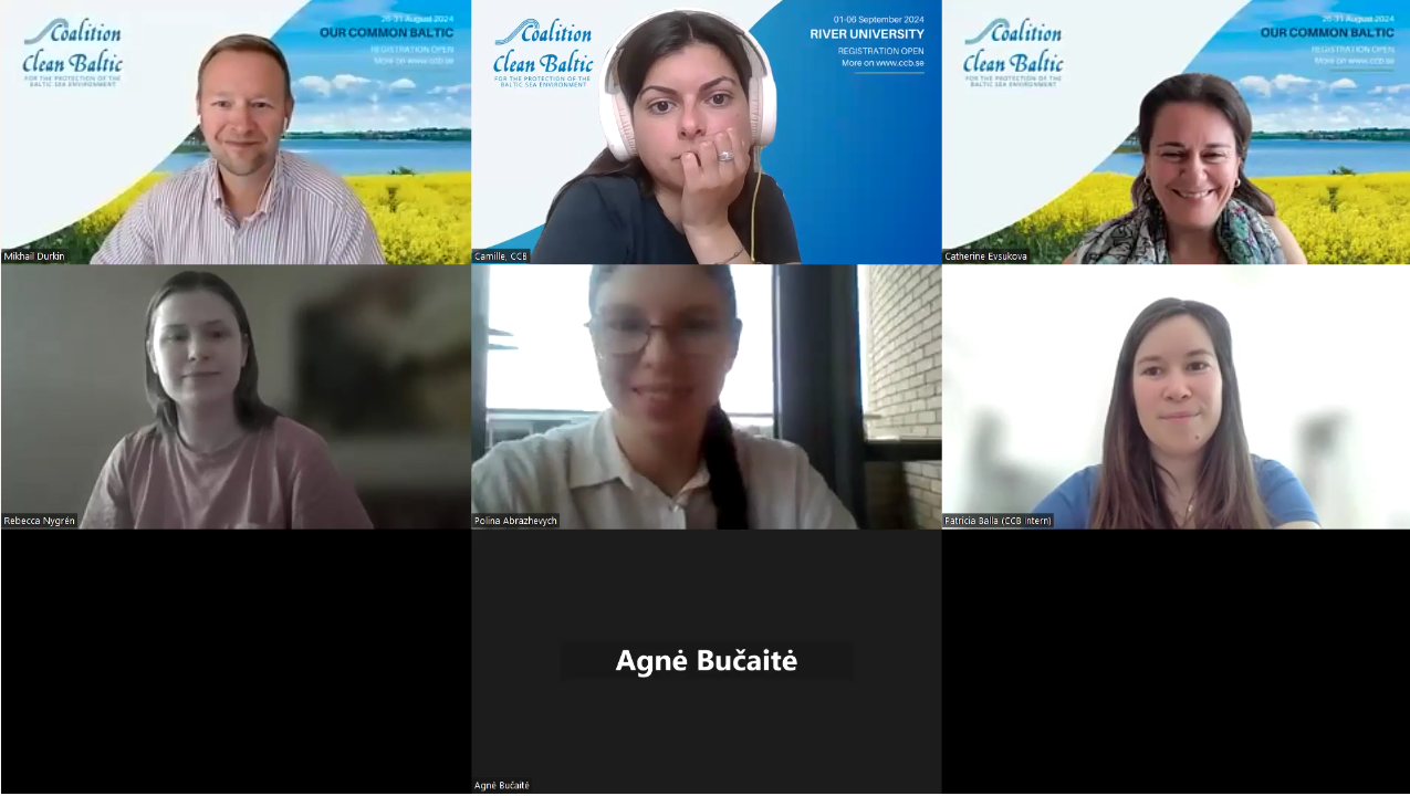 What is BSAP and how it relates to youth action?