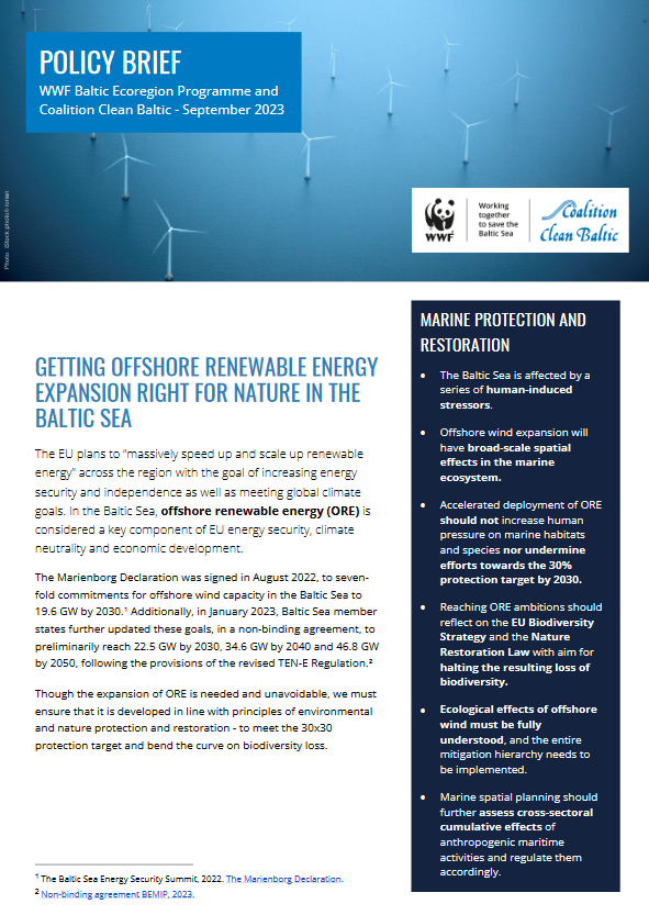 CCB WWF Policy brief - Getting Offshore Renewable Energy Expansion Right For Nature In The Baltic Sea