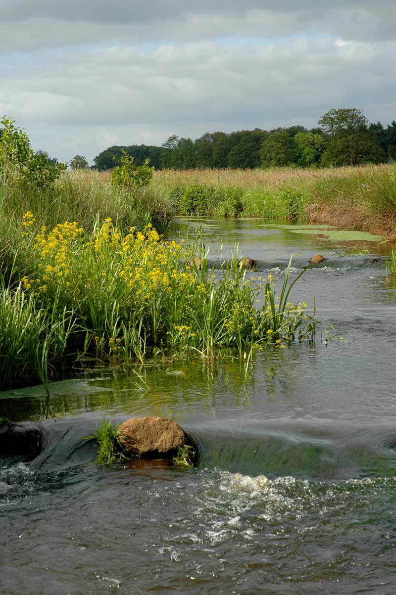 International conference on protecting and restoring free-flowing rivers in Europe