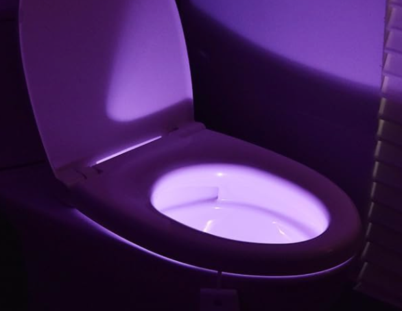Toilet light logo
