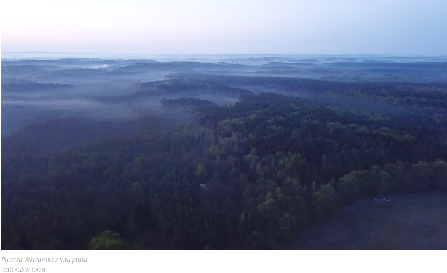 Conference "The Wkra Forest - water in the landscape and climate change"