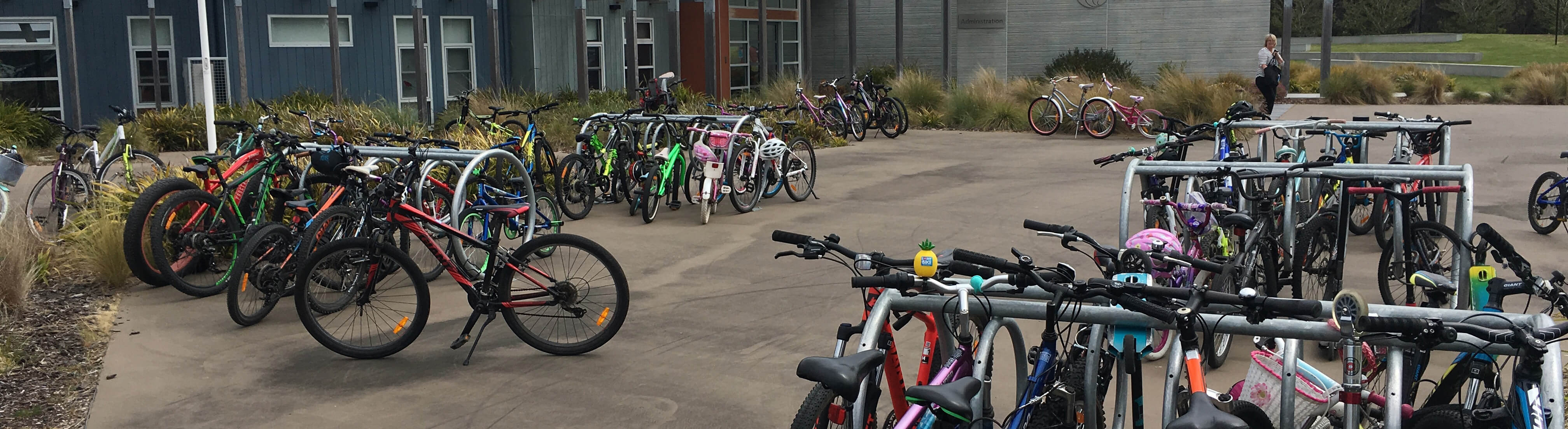 TAS Regional LS CF MN