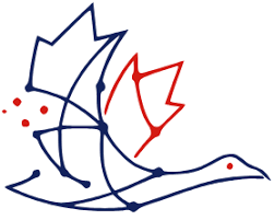 Volunteer Project Support, AI Governance and Safety