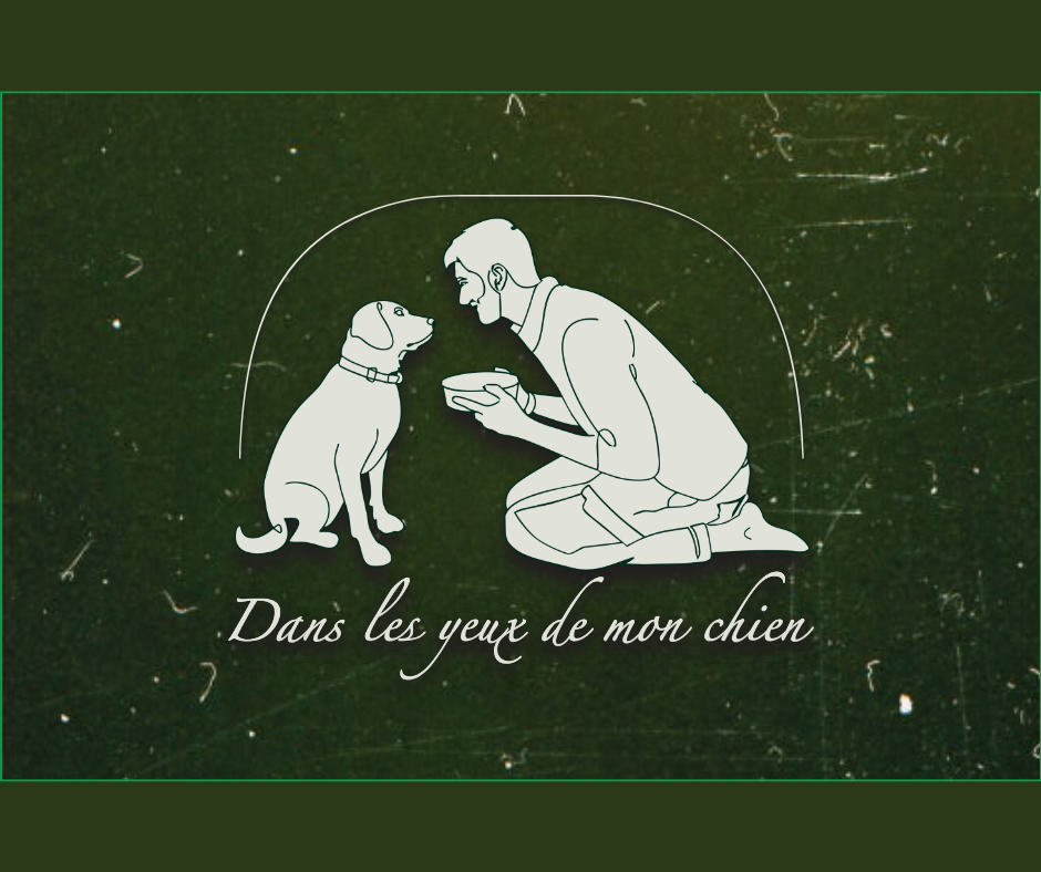 Dans les yeux de mon chien
