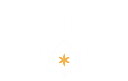 Sego Lily Hacks logo