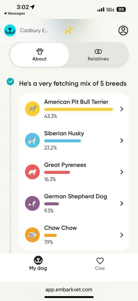 dogs - CadburyEgg Image 5