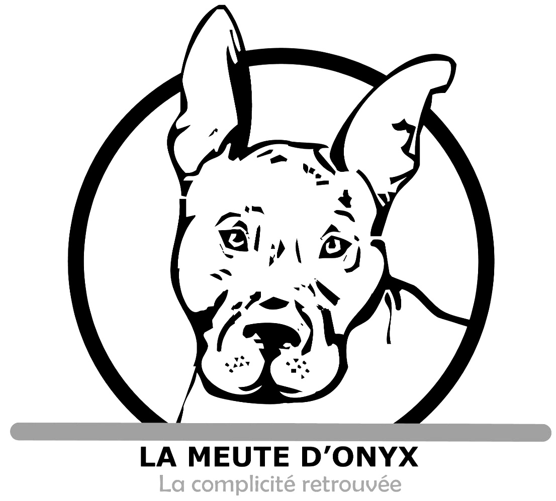 La meute d’Onyx