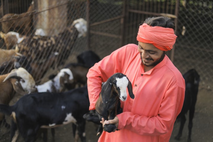 Top 5 Profitable Farm Animals to Buy and Sell in India (2025 Edition)