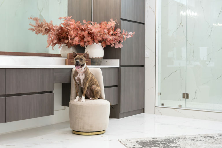 dogs - Naala Image 4