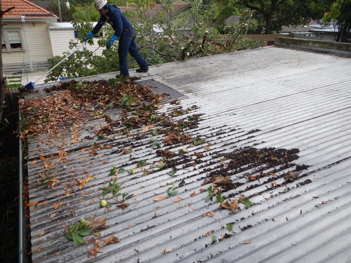 Gutter Debris & Leaf Removal