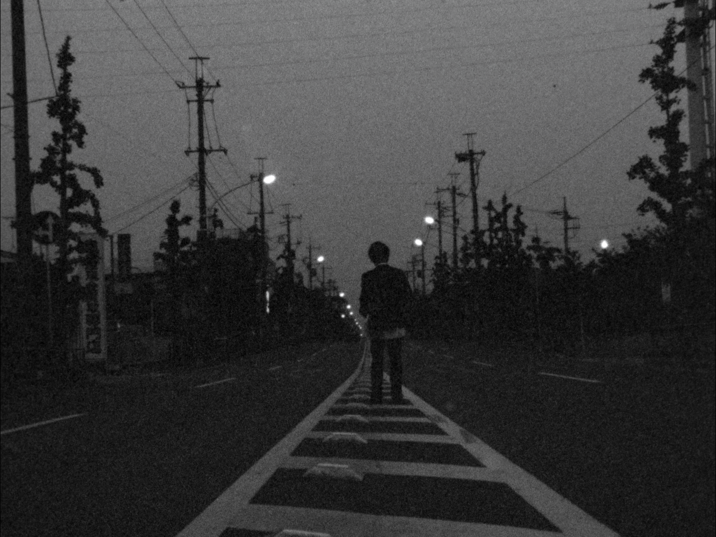 Carnival in the Night