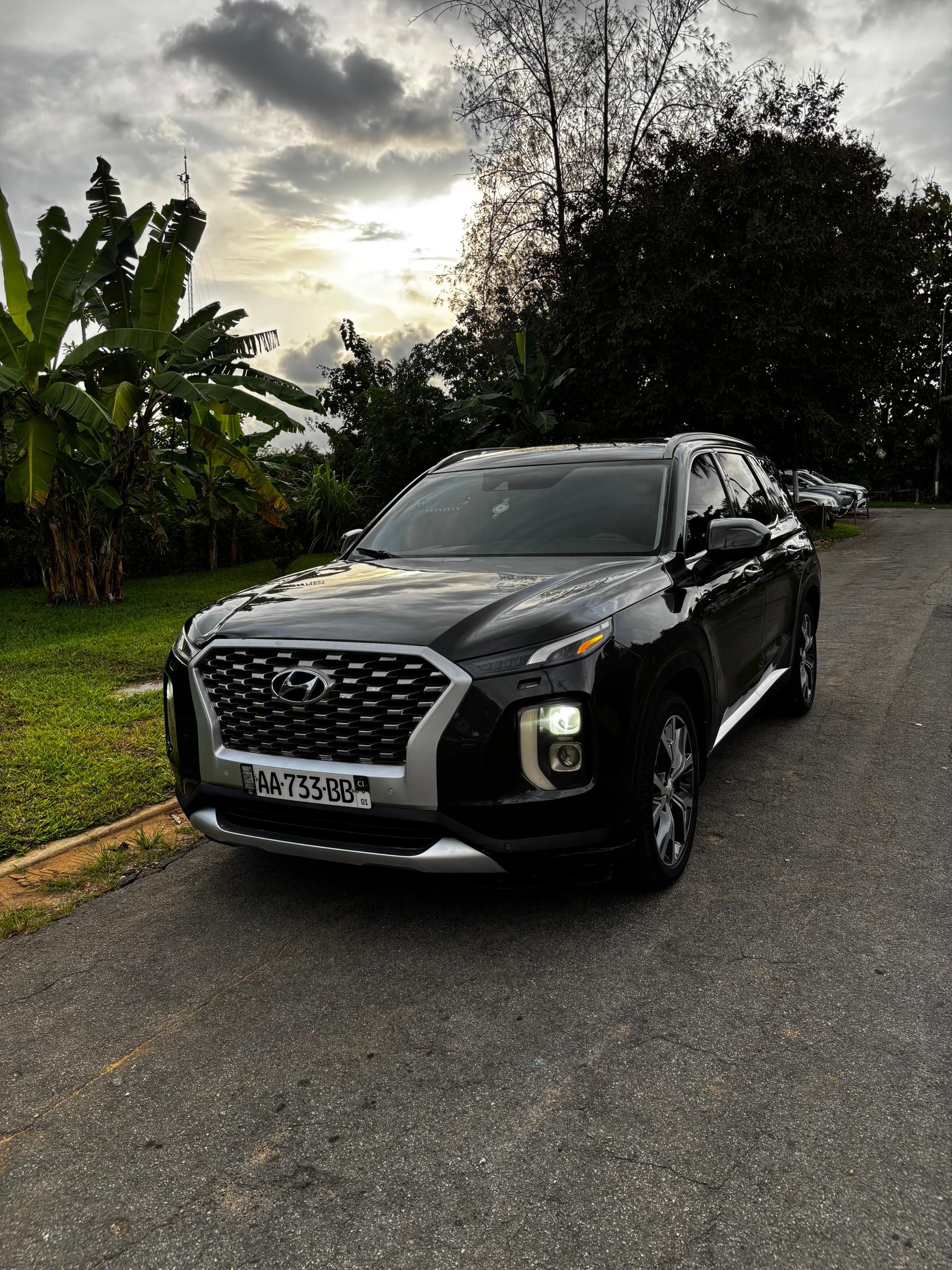 Hyundai palissade 2021 - Photo 1