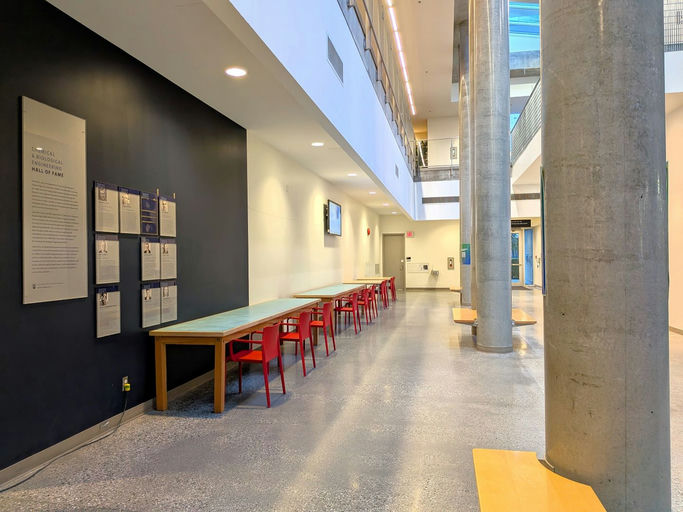 CHBE - Atrium - Image Gallery 3