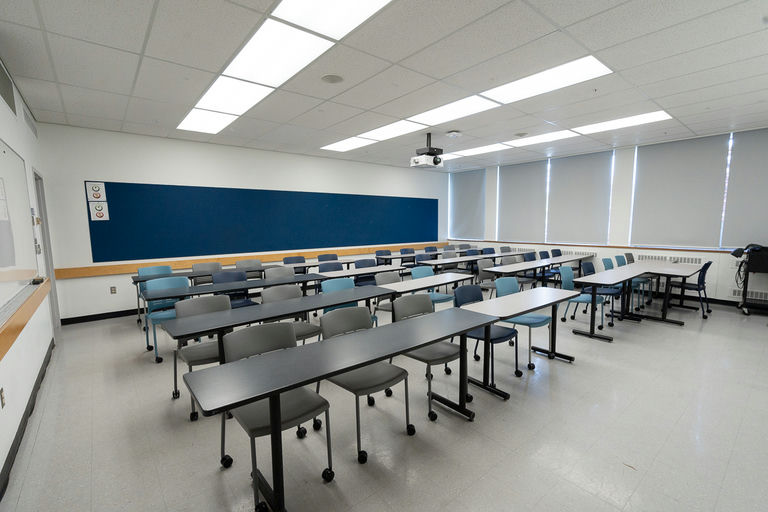 SCRF 203 - Image Gallery 1