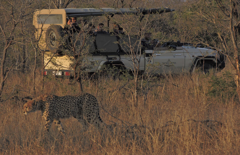 Hamiltons-Tented-Camp-17.jpg