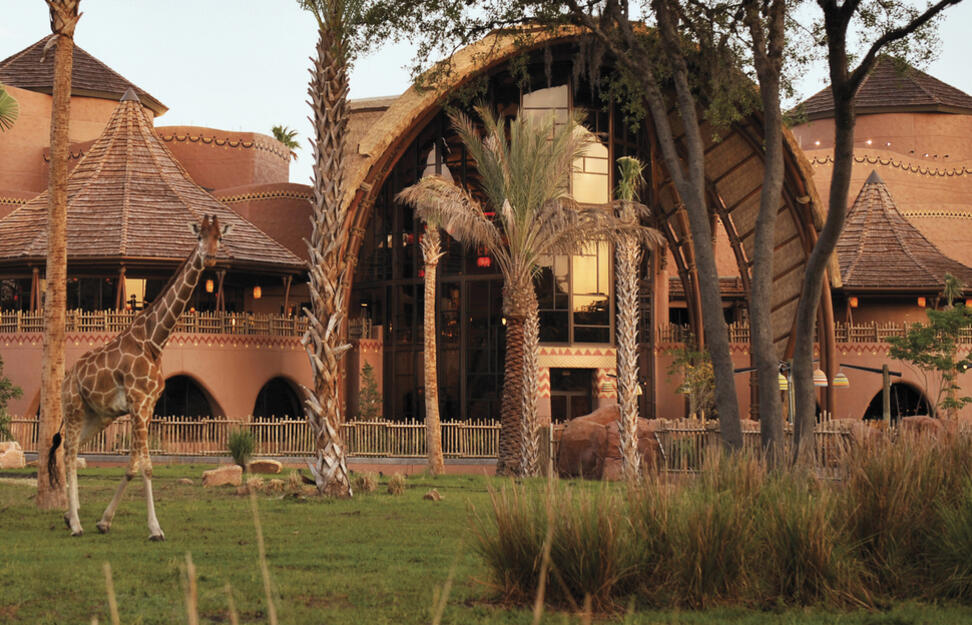 Disneys-Animal-Kingdom-Lodge-10.jpg
