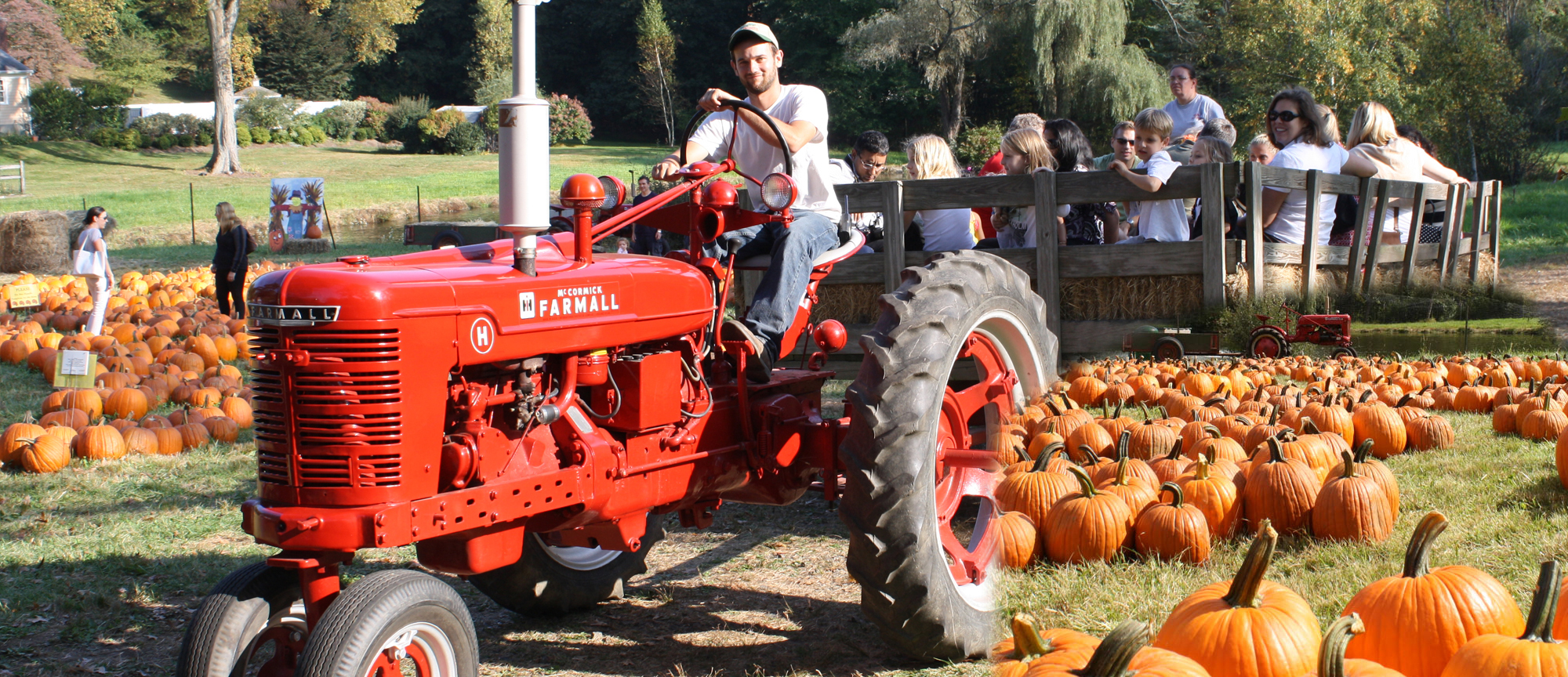 Pumpkin Patch at Sam Bridge Nursery