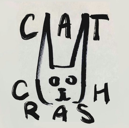 Cat Crash